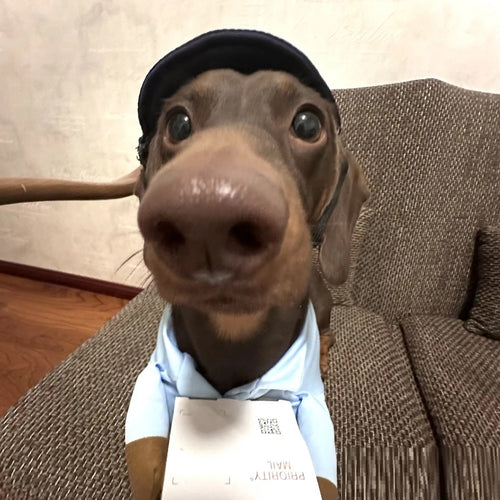 95df8c2e51fc2140212dc9c0cffc6989